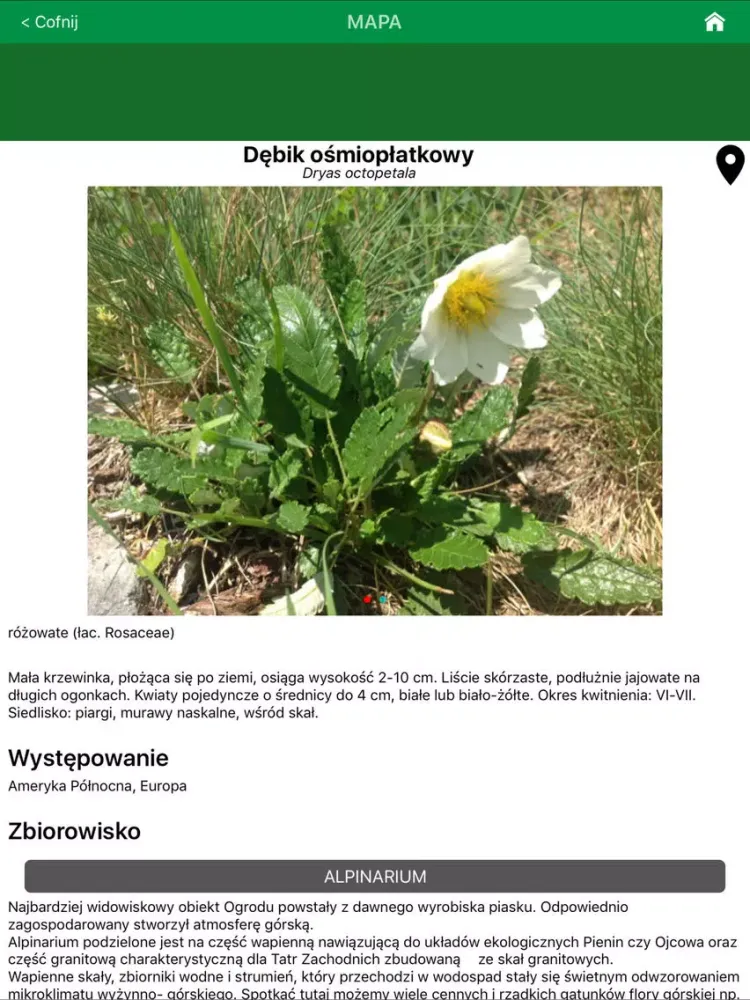 Tangkapan layar Zielone Płuca Bydgoszczy 2.0 iPad 