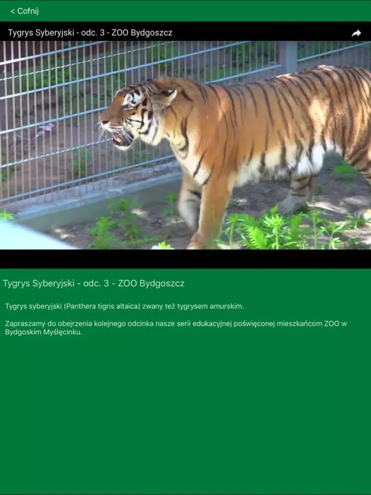 Tangkapan layar Zielone Płuca Bydgoszczy 2.0 iPad 