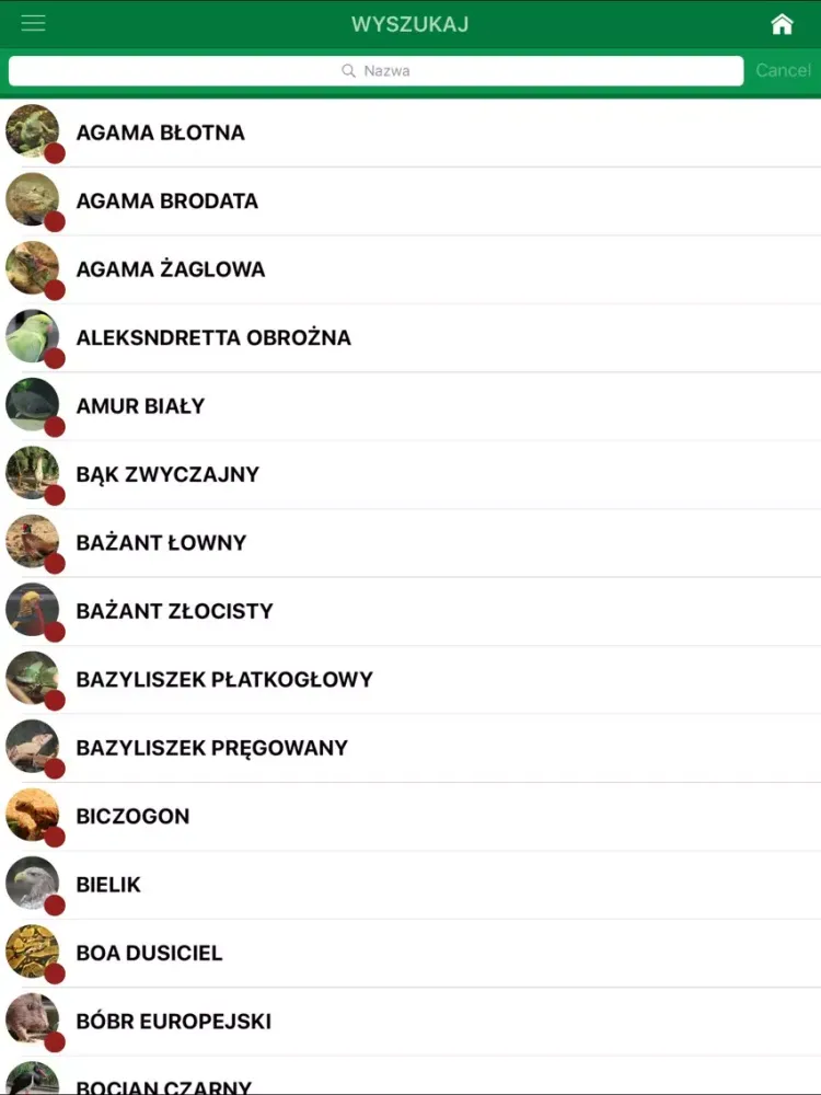 Tangkapan layar Zielone Płuca Bydgoszczy 2.0 iPad 