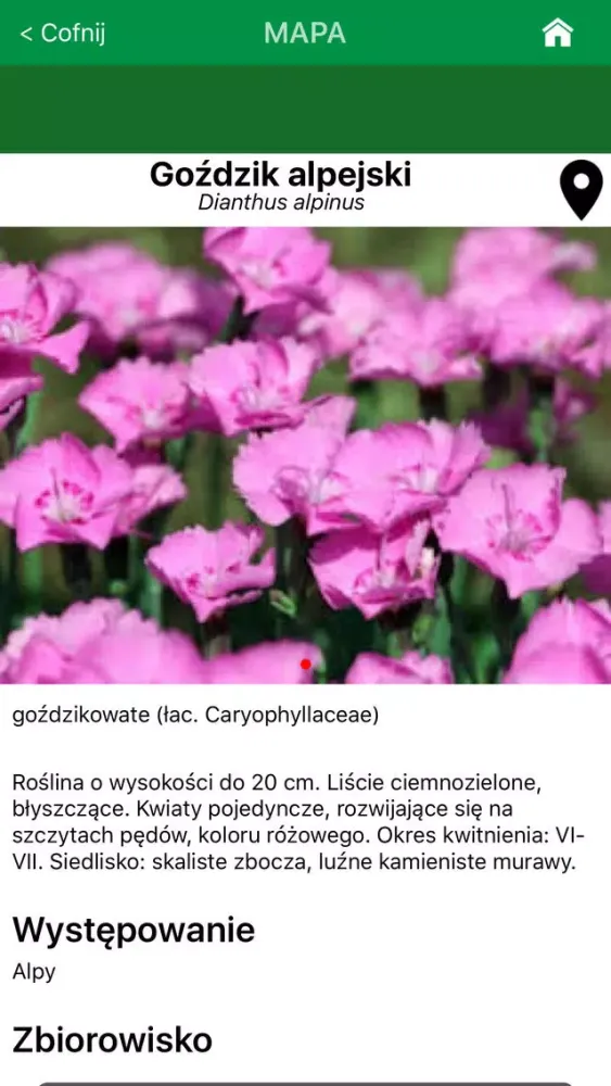 Tangkapan layar Zielone Płuca Bydgoszczy 2.0