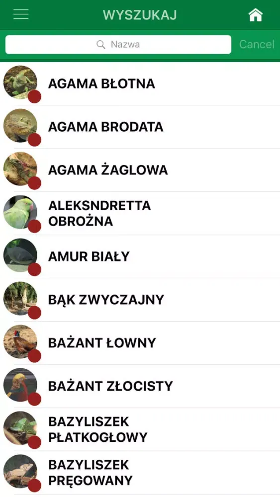 Tangkapan layar Zielone Płuca Bydgoszczy 2.0