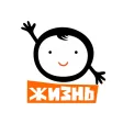 Biblebox ЖИЗНЬ Biblebox ЖИЗНЬ