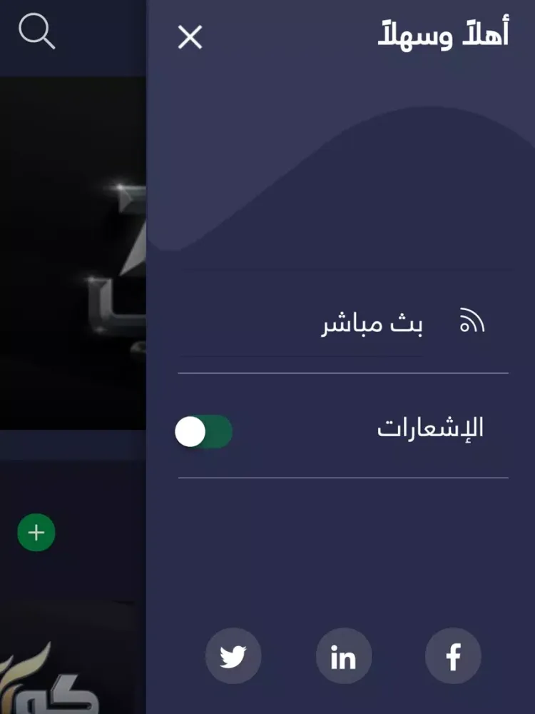 Ảnh chụp màn hình của Rotana.net iPad 