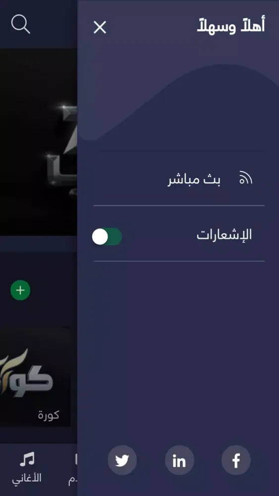 Ảnh chụp màn hình của Rotana.net
