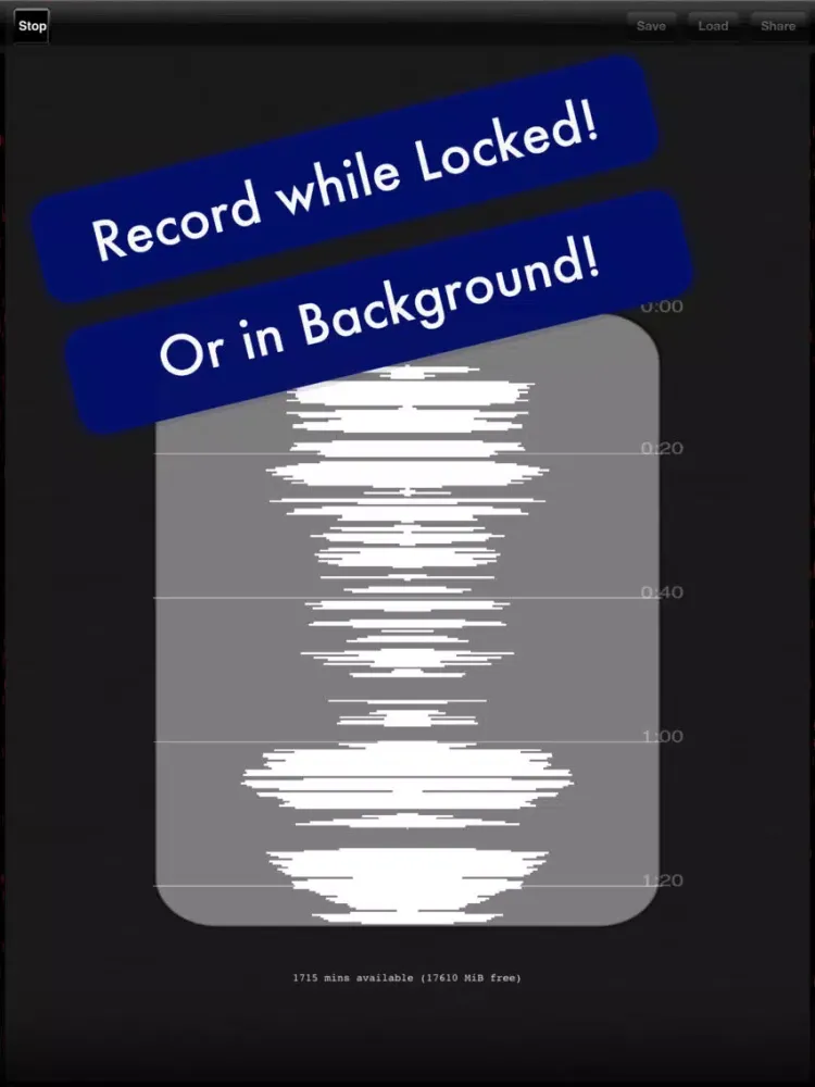 Voicer iPad 스크린샷