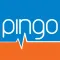 Pingo Analisi Internet