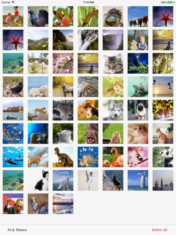 Tangkapan layar Photo Deleter with one Click iPad 
