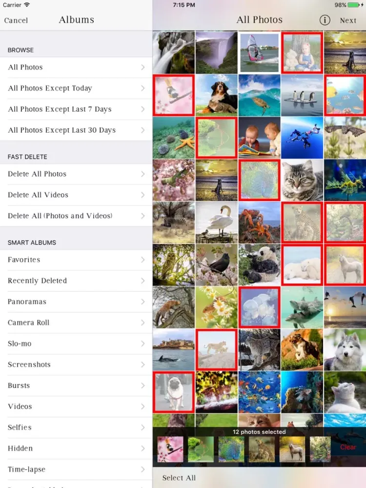 Tangkapan layar Photo Deleter with one Click iPad 