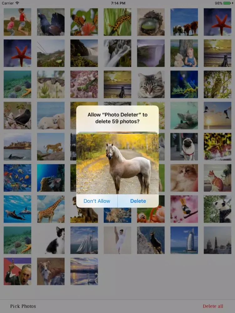 Tangkapan layar Photo Deleter with one Click iPad 