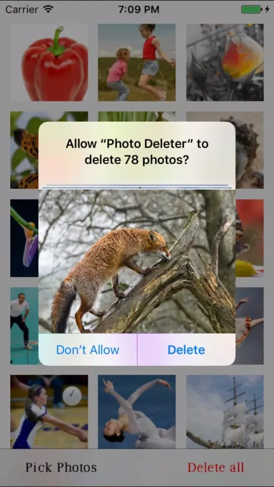Tangkapan layar Photo Deleter with one Click