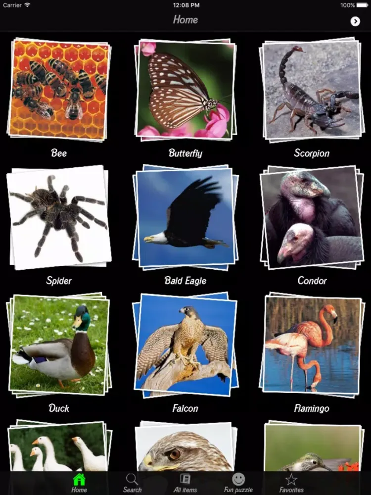 Animals and Insects Encyclopedia iPad  স্ক্রিনশট