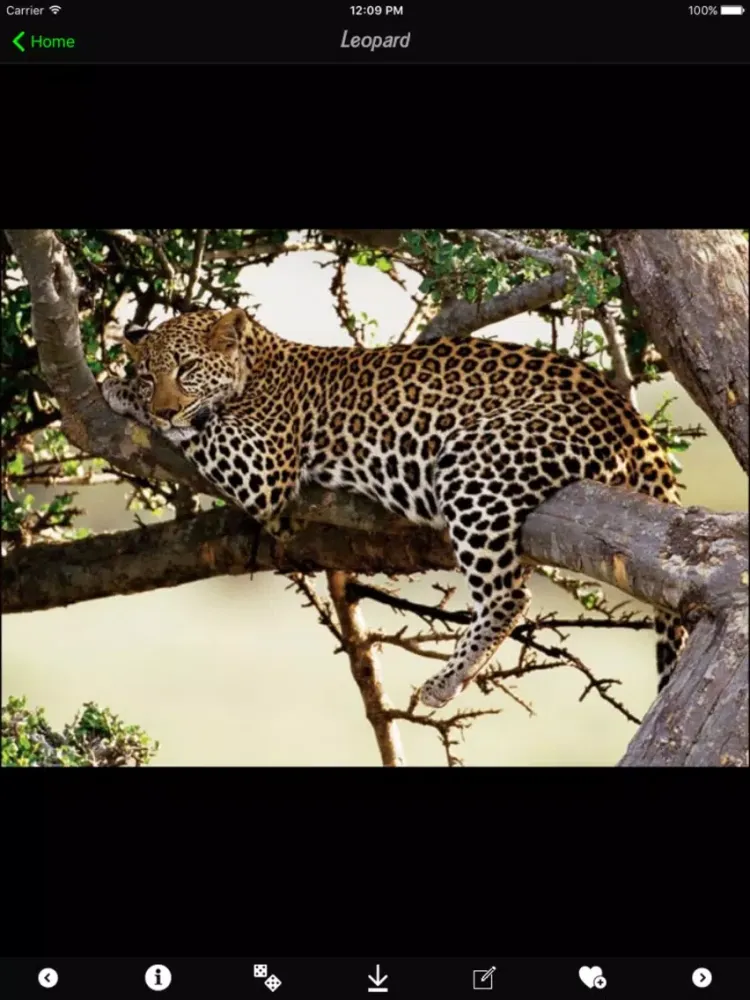 Animals and Insects Encyclopedia iPad  স্ক্রিনশট