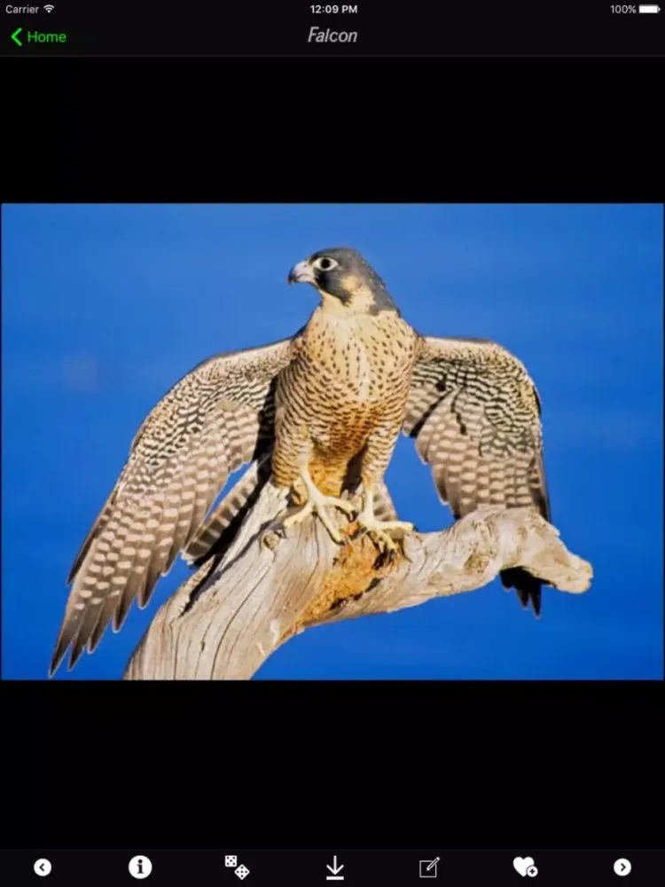 Animals and Insects Encyclopedia iPad  স্ক্রিনশট