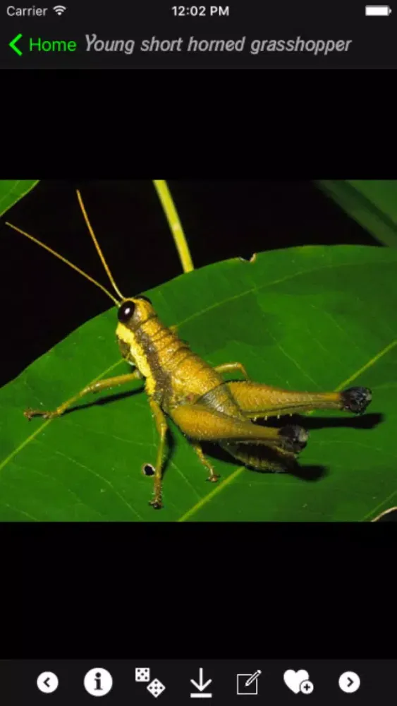 Animals and Insects Encyclopedia স্ক্রিনশট