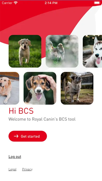 BCS Training Tool Screenshots