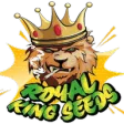 Royal King Seeds Royal King Seeds