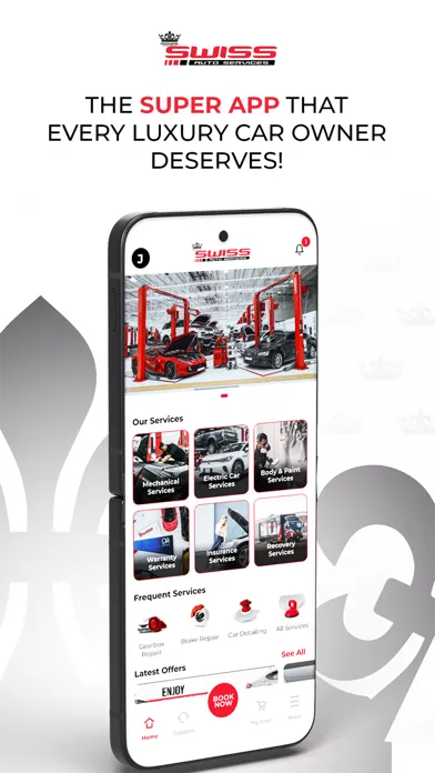 Capturas de pantalla de Royal Swiss Auto Services