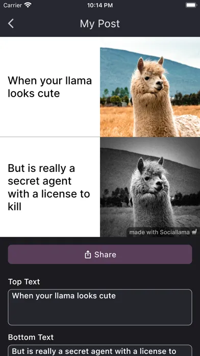 Capturas de tela do Sociallama — Design the Viral