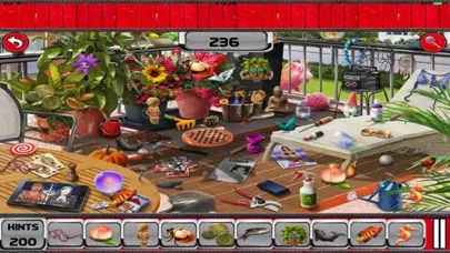 تصاویر Misty Morning Hidden Objects