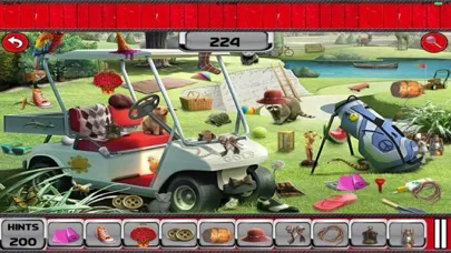 تصاویر Misty Morning Hidden Objects