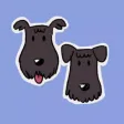 Schatzi and Jericho Schatzi and Jericho