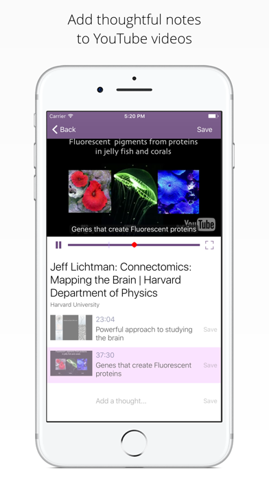 Ảnh chụp màn hình của Notate: Annotate YouTube videos