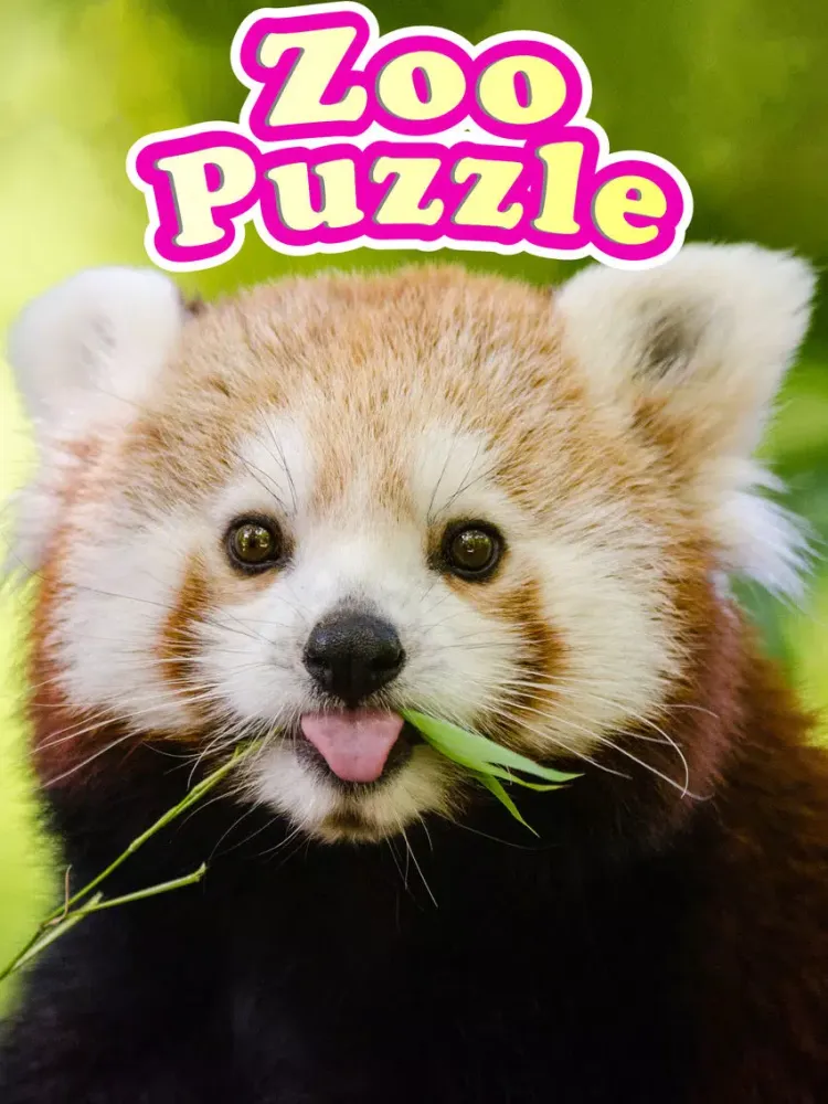 Red Panda Puzzles Jigsaws Games with Wild Animals in the Zoo iPad 應用截圖