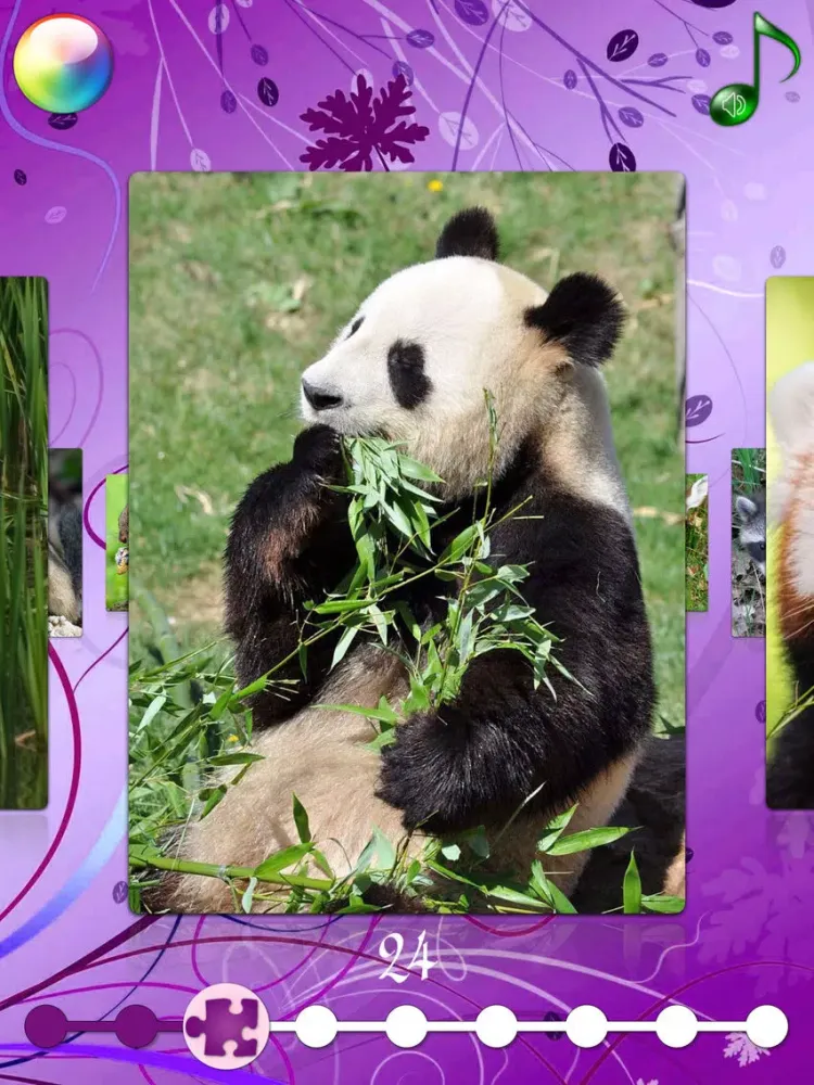 Red Panda Puzzles Jigsaws Games with Wild Animals in the Zoo iPad 應用截圖