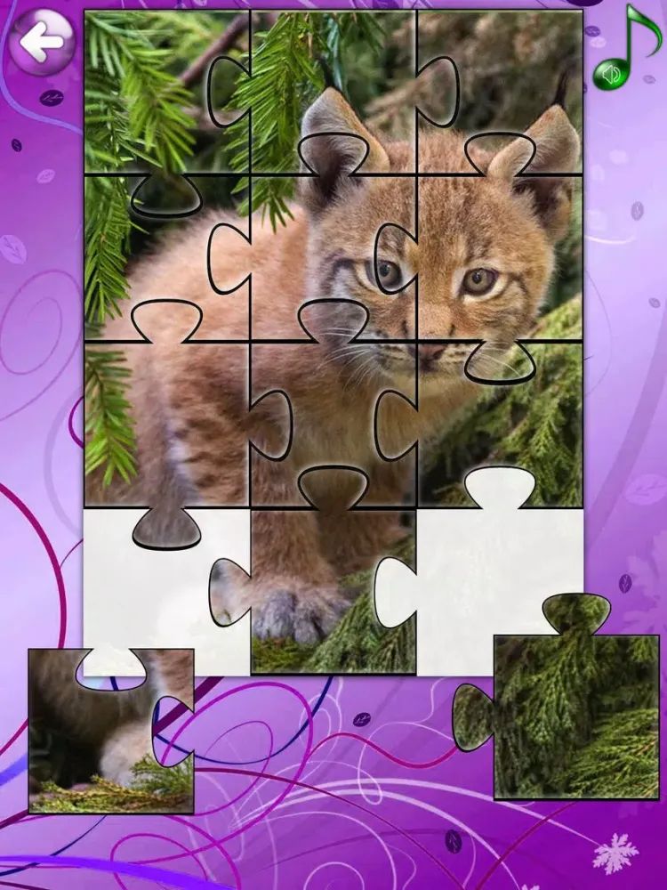 Red Panda Puzzles Jigsaws Games with Wild Animals in the Zoo iPad 應用截圖