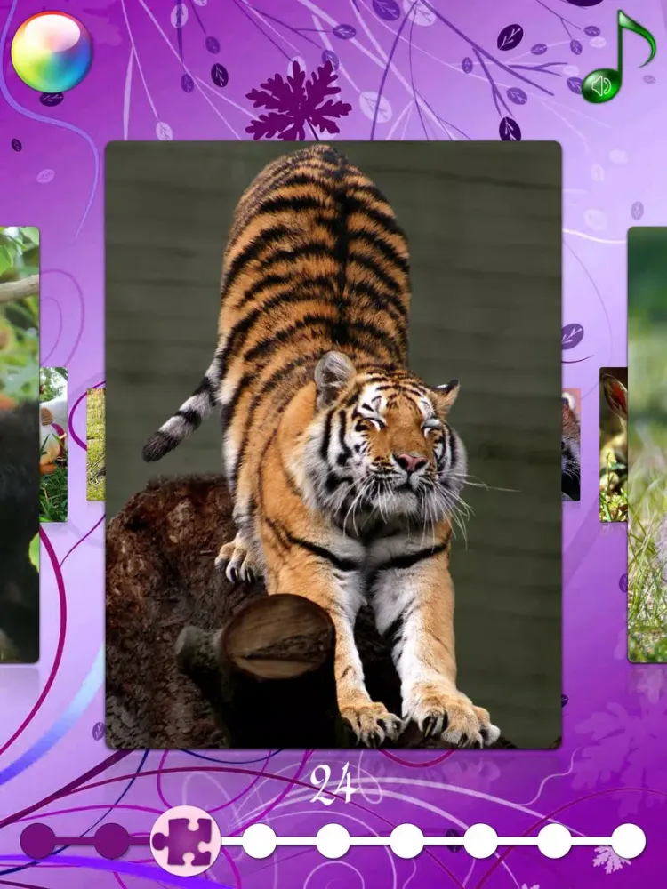 Red Panda Puzzles Jigsaws Games with Wild Animals in the Zoo iPad 應用截圖