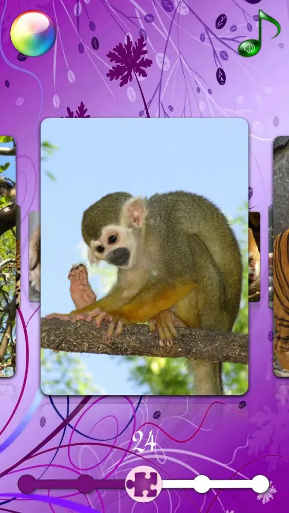 Red Panda Puzzles Jigsaws Games with Wild Animals in the Zoo應用截圖