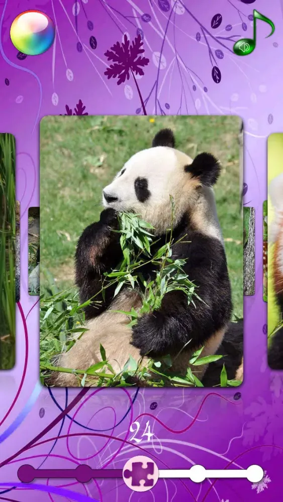 Red Panda Puzzles Jigsaws Games with Wild Animals in the Zoo應用截圖