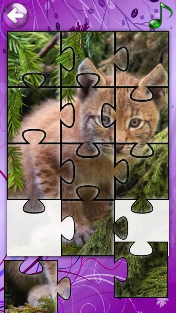 Red Panda Puzzles Jigsaws Games with Wild Animals in the Zoo應用截圖