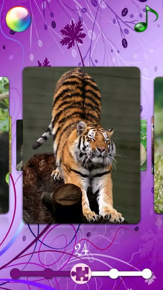 Red Panda Puzzles Jigsaws Games with Wild Animals in the Zoo應用截圖