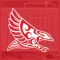 Kalani Falcons Athletics