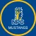 NPC Mustangs