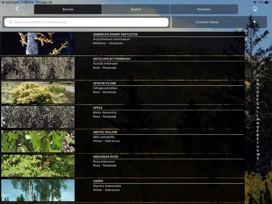 CO Woody Plants iPad  Screenshots