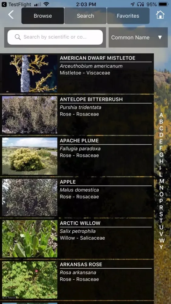 CO Woody Plants Screenshots