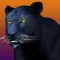 Deadly Black Panther - WIld Animal Simulator 3D