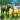 Wild Horse Games: Horse Family