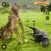 Wolf Games: Wild Wolf Game