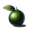 Citrus: лучшие продукты на дом