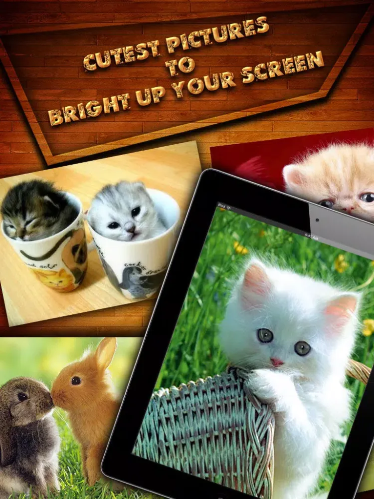 Captures d'écran de Cute HD Wallpapers Pro iPad 
