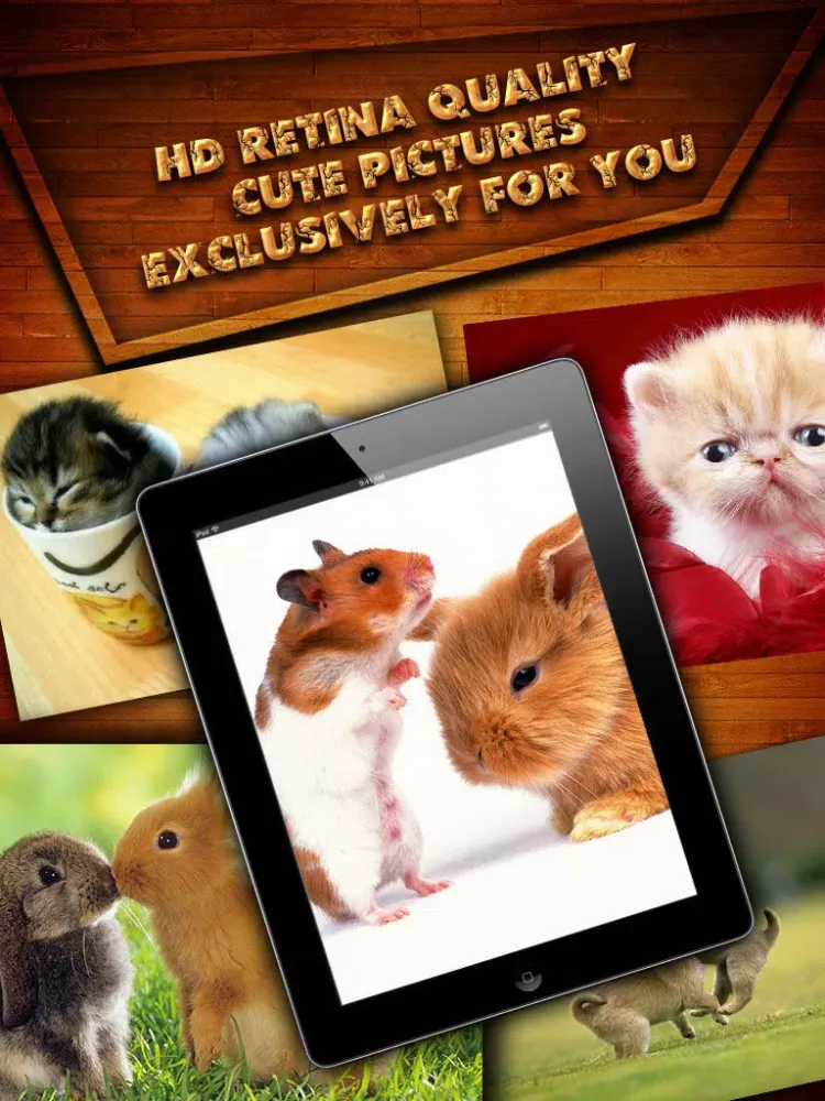 Captures d'écran de Cute HD Wallpapers Pro iPad 