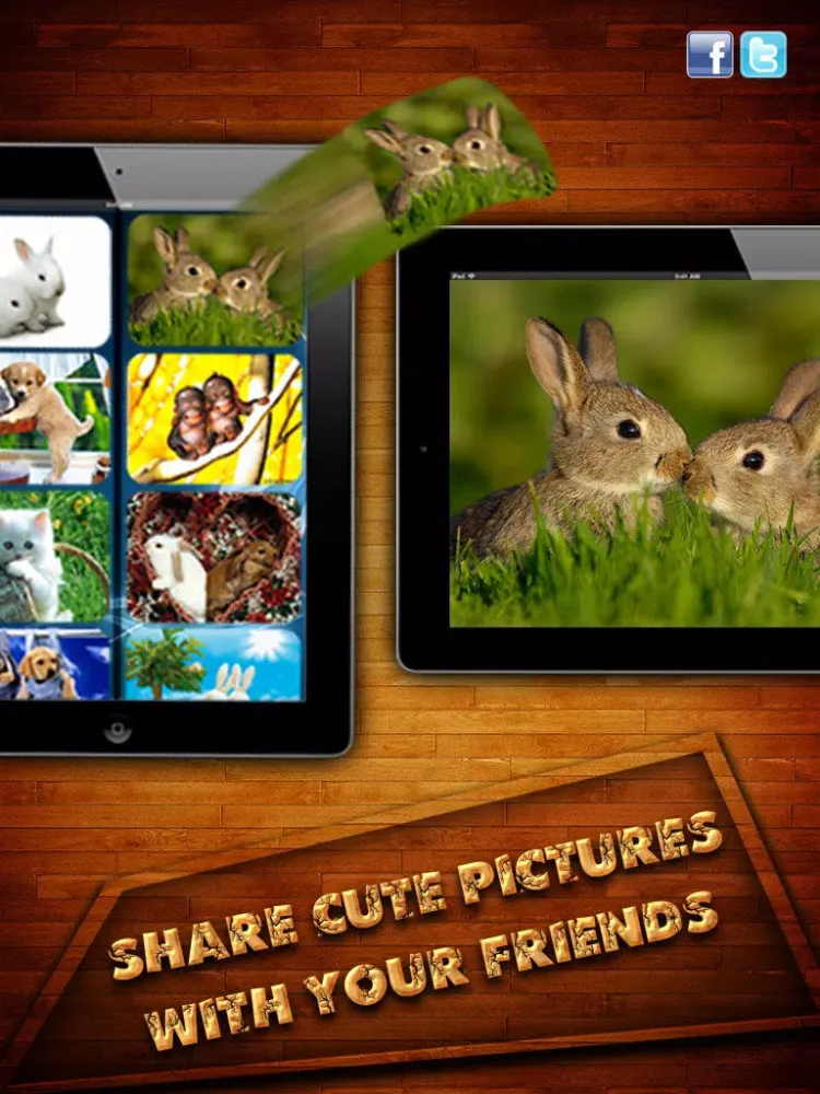 Captures d'écran de Cute HD Wallpapers Pro iPad 
