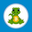 R1 Memecoins Faucet