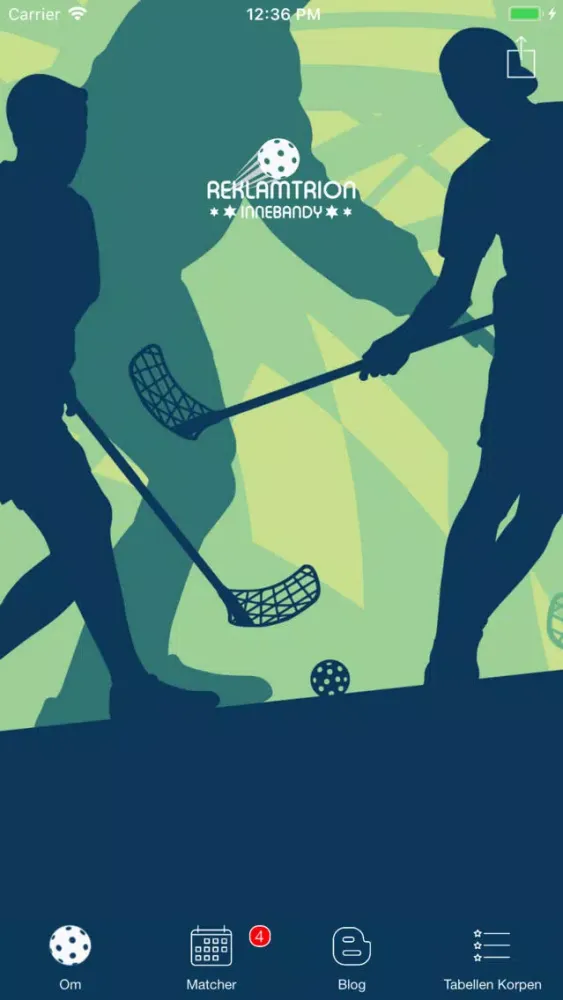 RT INNEBANDY Screenshots