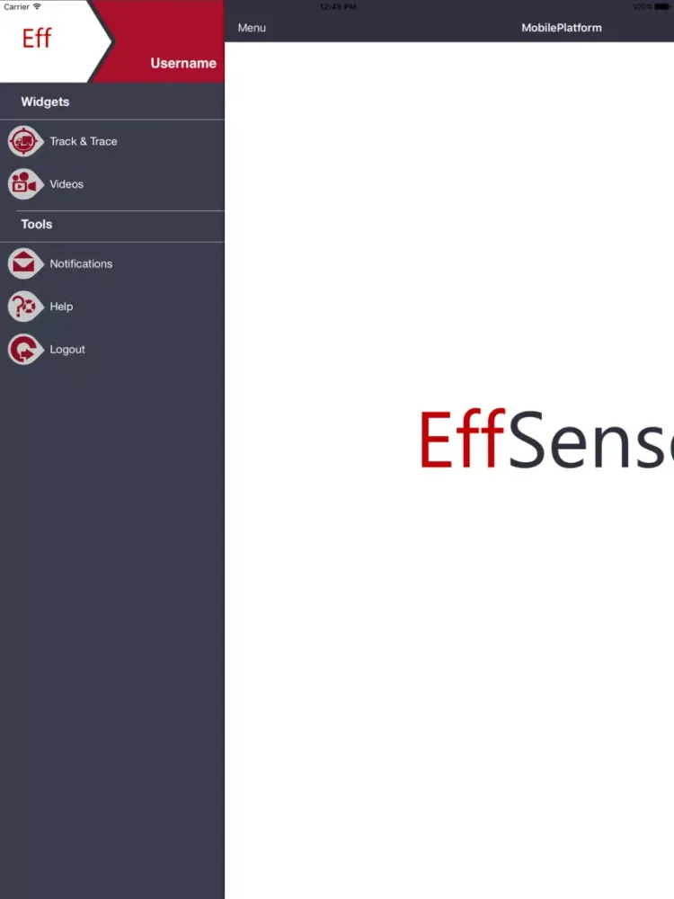 EffSense Mobile Platform iPad  Screenshots