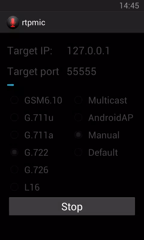 RtpMic Screenshots3