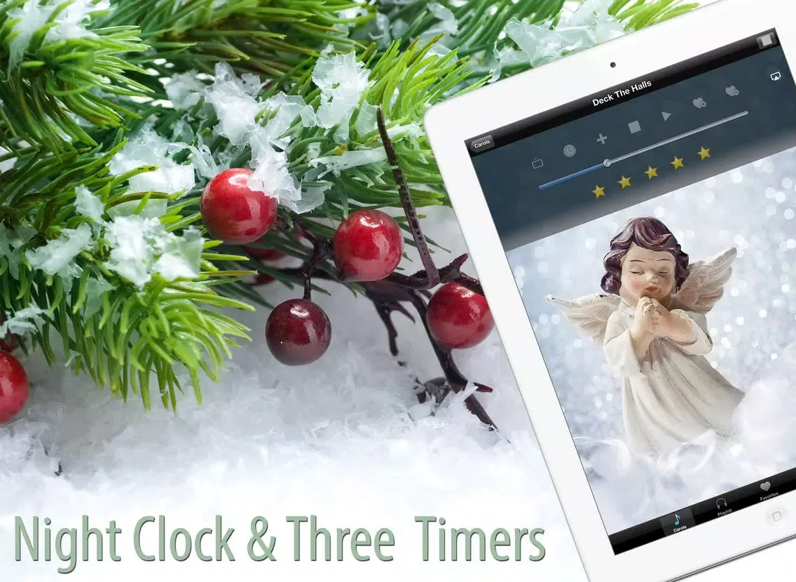 Christmas Carols & Hymns iPad  스크린샷